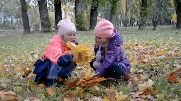 两个小女孩在大自然上扔黄叶玩笑视频的预览图