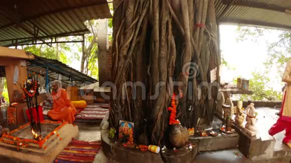 大榕树老悲虎僧在壁炉旁橙色的座位上古印度教寺庙里希克斯赫视频的预览图