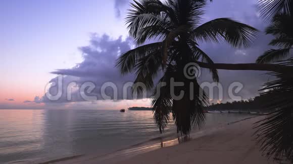 有棕榈树的异国海滩假期和假期概念热带岛屿视频的预览图