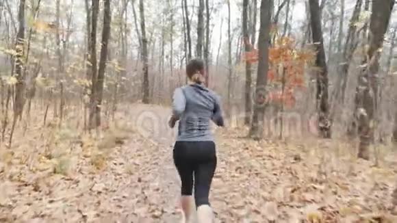 在秋天的公园里奔跑的苗条的女性小径准备比赛运行培训概念视频的预览图