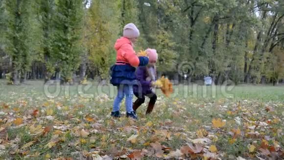 两个五岁的小女孩在公园里玩树叶视频的预览图