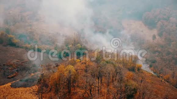 森林大火的烟雾森林砍伐和气候危机热带雨林大火产生的有毒烟雾空中视频4k视频的预览图
