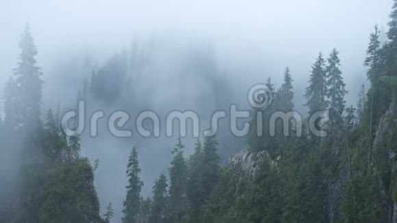 雾覆盖了松山视频的预览图