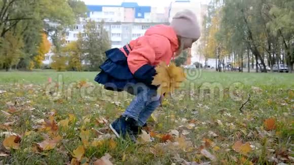 一个漂亮的小女孩在秋天公园散步视频的预览图