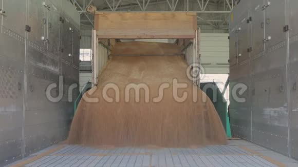 把小麦从一辆卡车运到一个筒仓把小麦装进电梯视频的预览图
