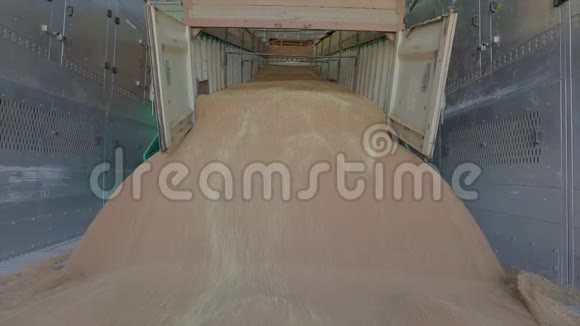 有小麦的仓库把小麦送到谷物电梯视频的预览图