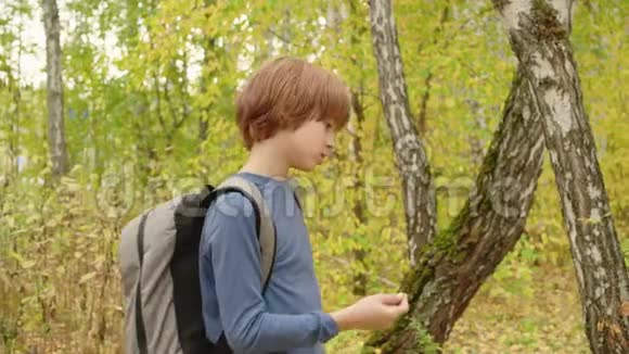 后景少年带背包走在秋公园的小路上少年男孩选择路上的岔路口视频的预览图