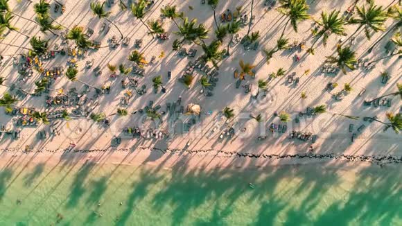 带棕榈树和白沙的加勒比海热带海滩的空中录像在巴瓦罗度假区旅游度假蓬塔卡纳视频的预览图