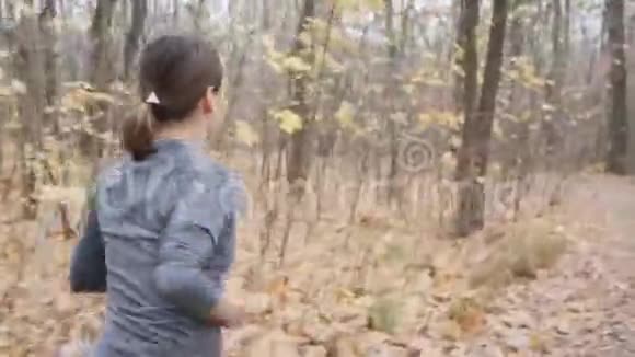 后侧跟随年轻女孩马拉松艰苦训练的观点上班前在森林里跑步视频的预览图