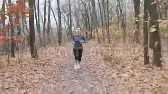 年轻苗条的女孩在秋天的森林里做跑步锻炼运行概念视频的预览图
