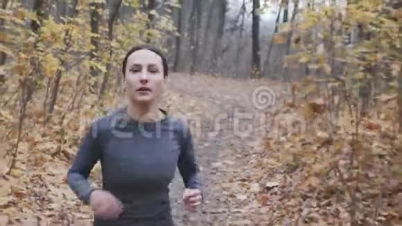 美丽的运动适合女性在秋季森林跑步比赛的艰苦训练前景运行概念视频的预览图