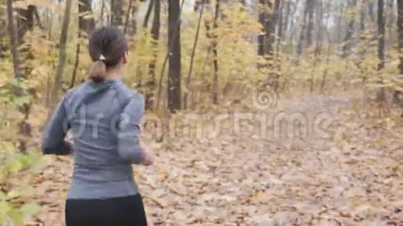 下班前在秋季公园慢跑成功的商务女性的背面视图视频的预览图