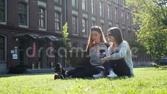 两个漂亮而现代的女学生或自由职业者在笔记本电脑上工作坐在校园绿色草坪上的公园里视频的预览图
