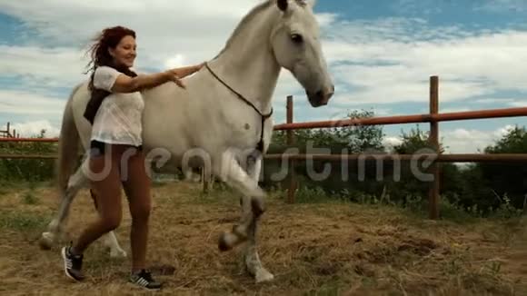 一个年轻的女人和一匹马在围场上马抬起他的腿培训过程视频的预览图