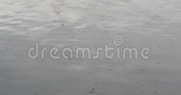 雨季雨水落在水面上视频的预览图