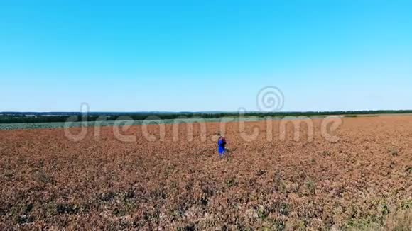 男农走在一块大田里检查庄稼视频的预览图