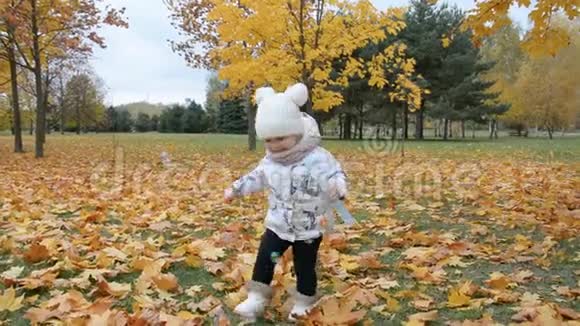 两岁的小女孩在秋天公园玩肥皂泡视频的预览图