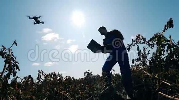 一个人在有庄稼的田地里用无人机工作视频的预览图