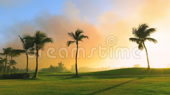 热带岛屿的高尔夫球场美丽的日落与棕榈树的剪影视频视频的预览图