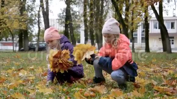两个小女孩收集秋天公园的落叶视频的预览图