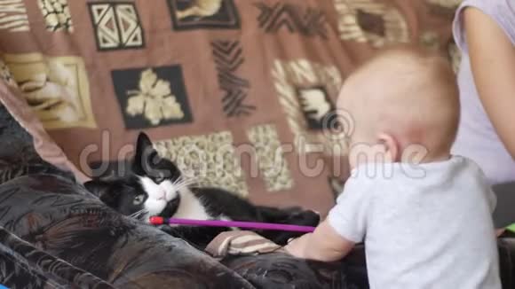 小男孩正在玩黑白色猫懒洋洋地躺在沙发上妈妈照顾他们坐在附近回去视频的预览图
