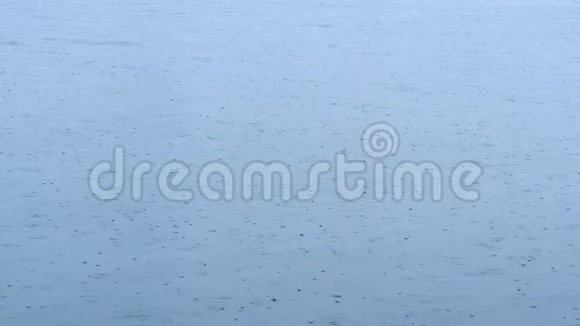 一只海鸥在下雨天降落到海里海水里有雨滴视频的预览图