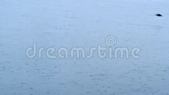 下雨天伊兹密尔市有雨滴在海面上飞舞视频的预览图