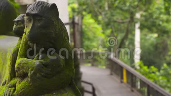 乌布猴子森林中的猴子雕像视频的预览图