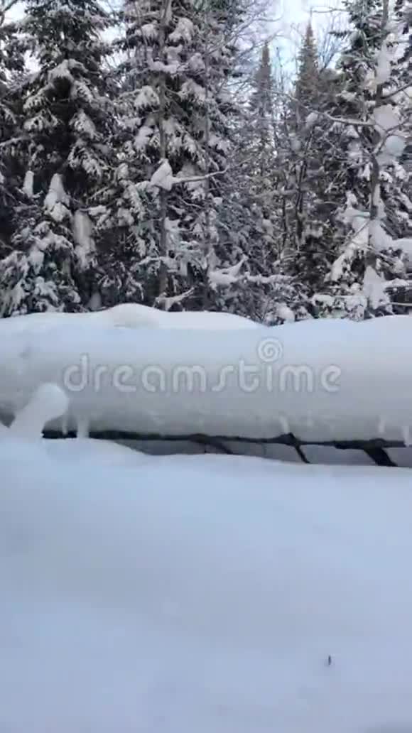 冬天下雪冬天那种日落时的雪大雪视频的预览图