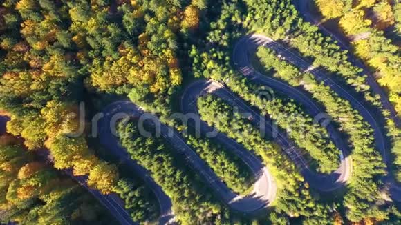 一条蜿蜒的山路穿过冷杉林的鸟瞰图视频的预览图