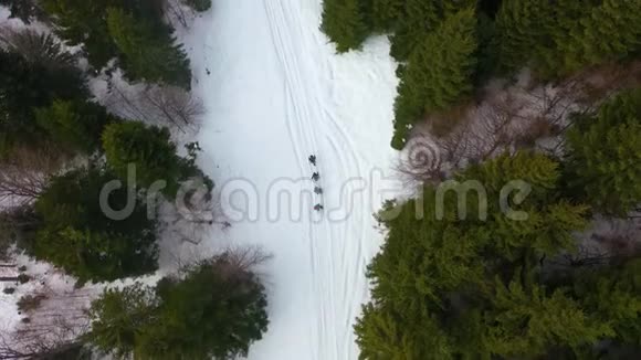 冬天登山的背包客和滑雪杆视频的预览图