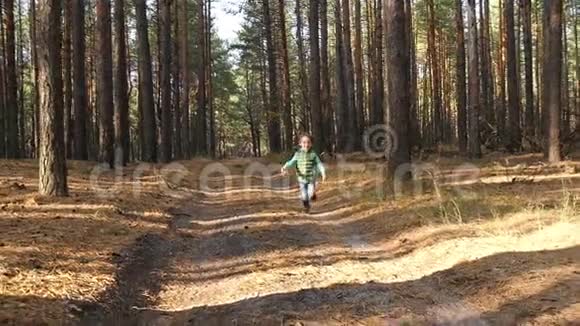 一个学龄前的男孩在森林或公园里沿着道路奔跑体验情感快乐快乐和笑声儿童游戏视频的预览图