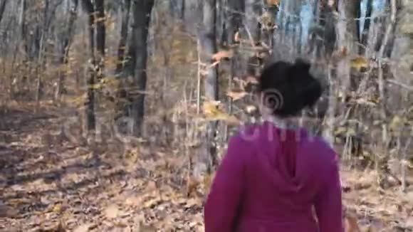有着北欧步行杆的有动力和专注的女运动员在秋季公园进行有氧强化训练视频的预览图