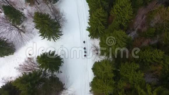 冬天登山的背包客和滑雪杆视频的预览图