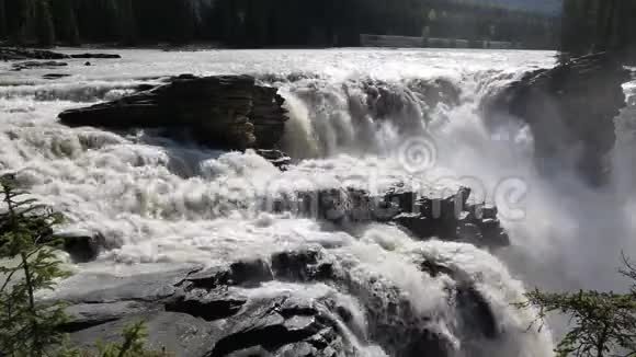 阿萨巴斯卡瀑布接近视频的预览图