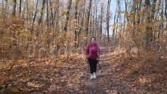 作为减肥计划的一部分胖女人在秋季公园里做北欧步行娱乐项目视频的预览图