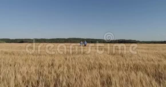 女孩和男孩在田野上散步快乐的女孩和男孩视频的预览图