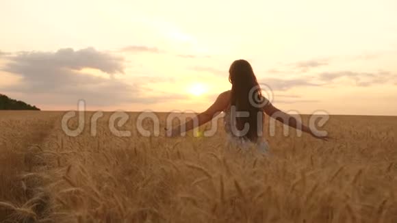 快乐的小女孩慢悠悠地跑过田野用手摸着麦穗美丽的自由女人视频的预览图