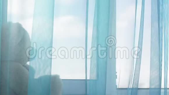 窗帘透过窗户向世界透明一阵轻柔的风吹动了窗帘坐在窗户上的熊玩具视频的预览图