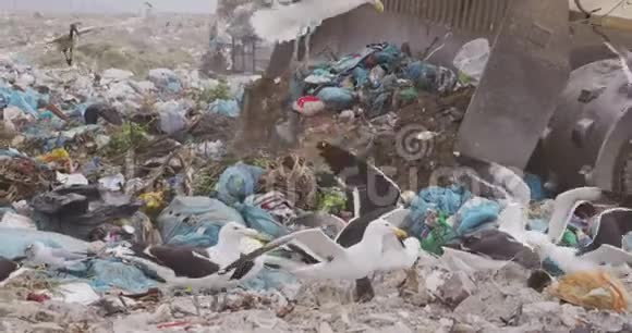 清理堆积在垃圾填埋场的垃圾的车辆视频的预览图
