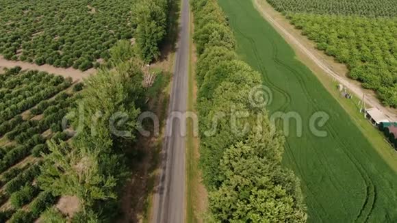 空中无人机射击飞过向日葵田从无人驾驶飞机俯视4k视频的预览图