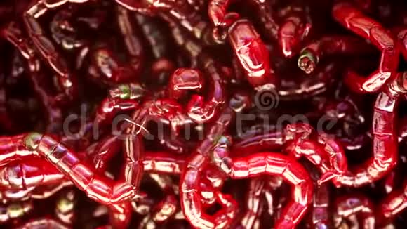 许多活血虫蠕虫作为背景视频的预览图