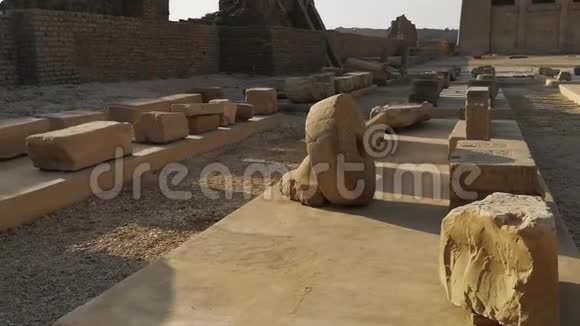 美丽的丹德拉寺或哈霍尔寺的废墟埃及丹德拉肯城附近的古埃及神庙视频的预览图