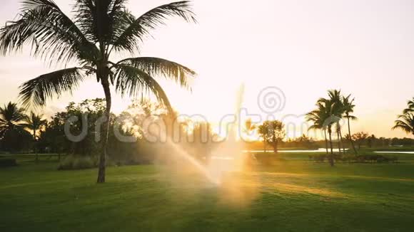 金色日落时球道高尔夫球场洒水器视频的预览图