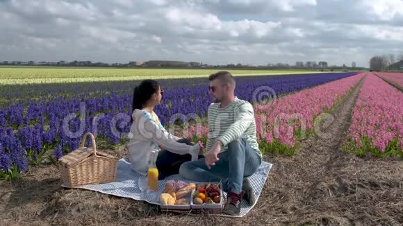 荷兰的春花季节一对夫妇在春季与风信子在荷兰的灯泡地区野餐视频的预览图