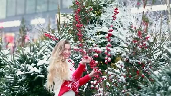 在圣诞树和红浆果背景下街头的女孩视频的预览图