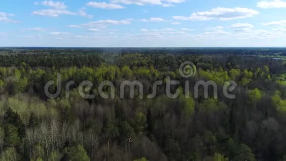 在蓝天下美丽的春天森林上空飞翔靠近一座小城市视频的预览图