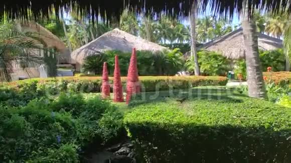 迷人的热带花园视频的预览图