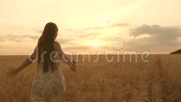 美丽的自由女人在夕阳背景下的麦田里享受着温暖的阳光女孩旅行年轻快乐视频的预览图