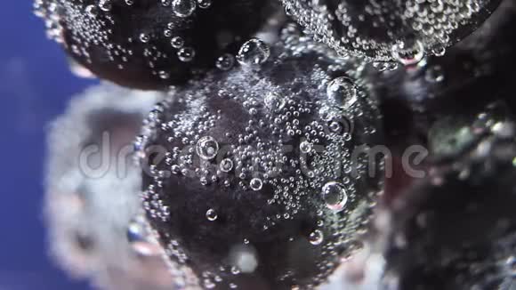 蓝葡萄掉进透明的水里新鲜水果和浆果有机浆果健康食品饮食气泡视频的预览图